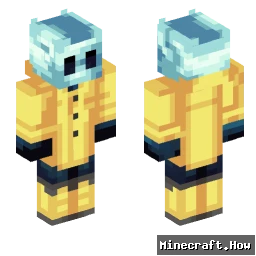 hansgamer70