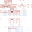 14MP Minecraft skin preview