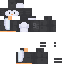9_6 Minecraft skin preview