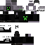 tylerzahos Minecraft skin preview
