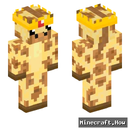 NitayLol