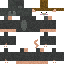Valloin Minecraft skin preview