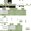 elpepe_like Minecraft skin preview