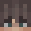 Carzzan classic skin texture