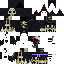 HyGamer classic skin texture