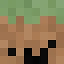 XxfreezaluckxX classic skin texture