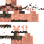 ForecastR classic skin texture