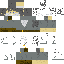 5Wizards2056 classic skin texture
