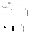 perrsonne classic skin texture