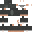ThomasTheNerd24 classic skin texture