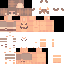 Litten081 classic skin texture