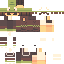 Phenixbtw classic skin texture