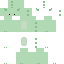 Aflyingdino13 classic skin texture