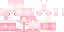 il_SSN classic skin texture