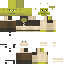 Sjhock classic skin texture
