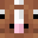 RaccoonBarracuda classic skin texture