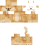 dogeonminecraft1 classic skin texture