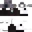 Reggie29 classic skin texture