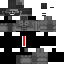 Alwin2019 classic skin texture