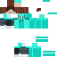 winderor classic skin texture