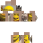 shrekgotyeeted classic skin texture