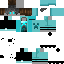 FishfinderNick classic skin texture