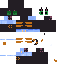 TheFroggster10 classic skin texture