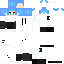 _xTianYi_ classic skin texture