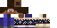 buildce classic skin texture