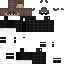Fl3xs classic skin texture