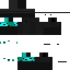 Ninjutu_YT classic skin texture