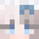 ZMZ_NB classic skin texture