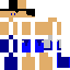 Arcanemaster29 classic skin texture