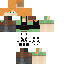 gameingtime classic skin texture