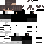 team34 classic skin texture