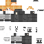 Saniritvik classic skin texture