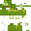6aks classic skin texture