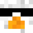 Ptakuuu classic skin texture