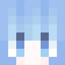 Admin_SR40 classic skin texture