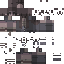 oTeraByte classic skin texture
