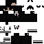 PugBot_ classic skin texture
