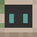 EternalEverfall classic skin texture