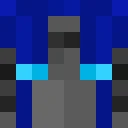 Priinx3 classic skin texture