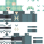 dpsoo classic skin texture