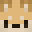 Corgilover132 classic skin texture