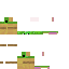 AmongusBaka classic skin texture