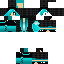 __2020 classic skin texture