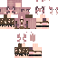 JakeAC1 classic skin texture