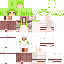 ColourSchemed classic skin texture