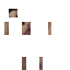 DrEconomy classic skin texture
